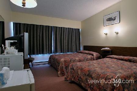 Dalewood Inn Port McNeill Extérieur photo